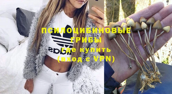 гидропоника Абаза