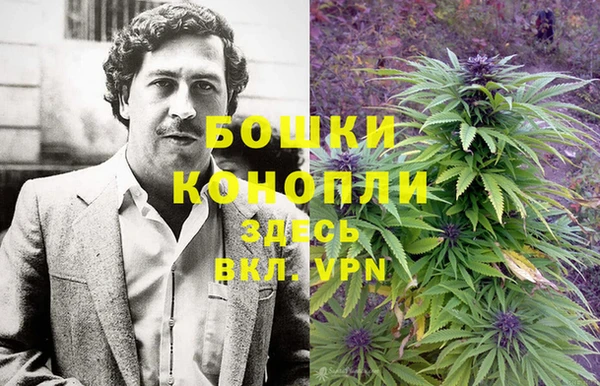 дурь Алексеевка