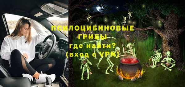 дурь Алексеевка