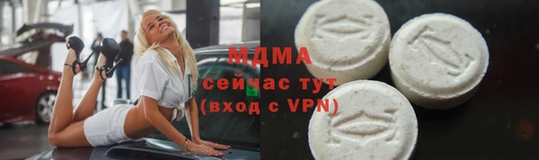 СК Пересвет