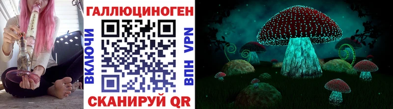 Галлюциногенные грибы Psilocybe  где продают   Рыльск 